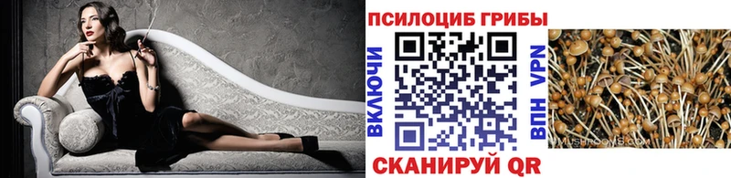 Псилоцибиновые грибы MAGIC MUSHROOMS  купить  цена  kraken ССЫЛКА  Абаза 