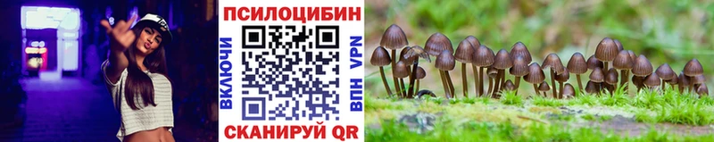 Псилоцибиновые грибы MAGIC MUSHROOMS Абаза